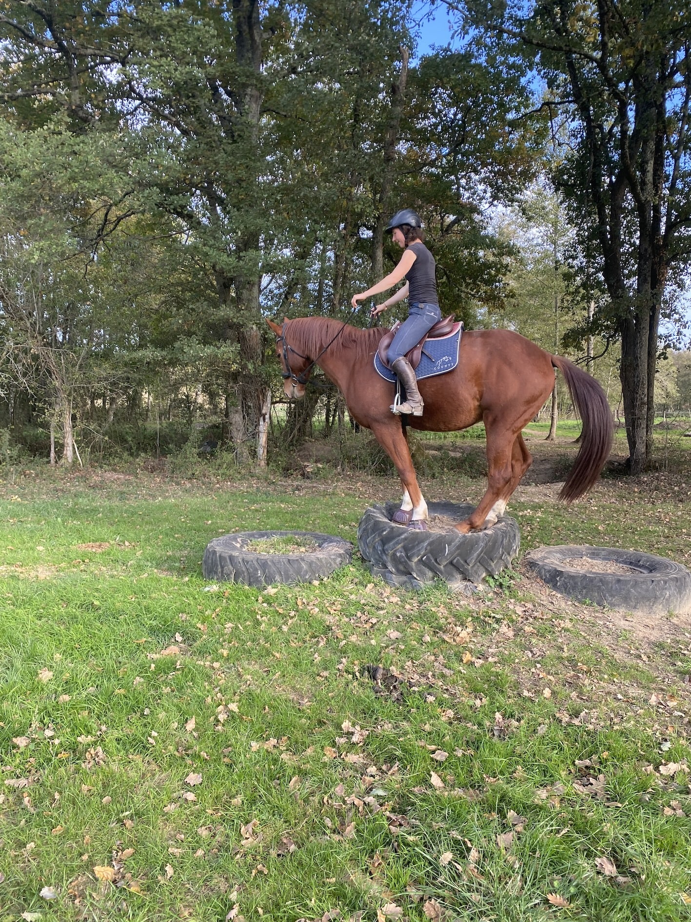 Une femme sur un cheval